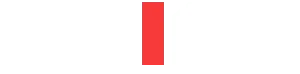 Skint Logo